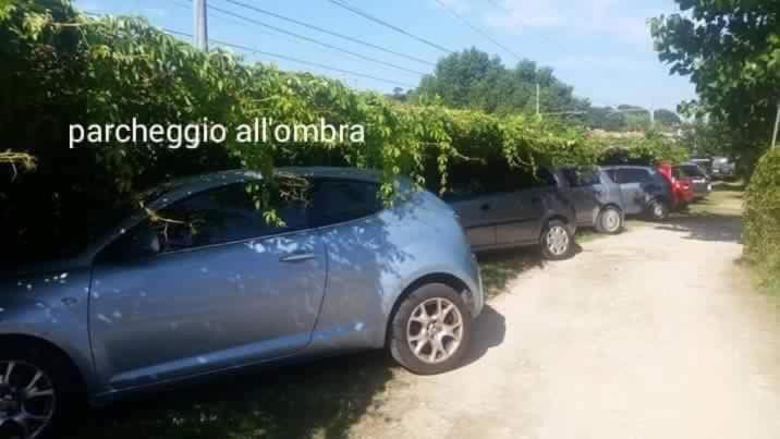 Camping Onda Azzurra Hotel Ortona Bagian luar foto